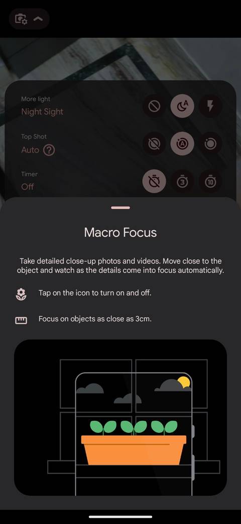 How to Use the Google Pixel’s Macro Focus Feature