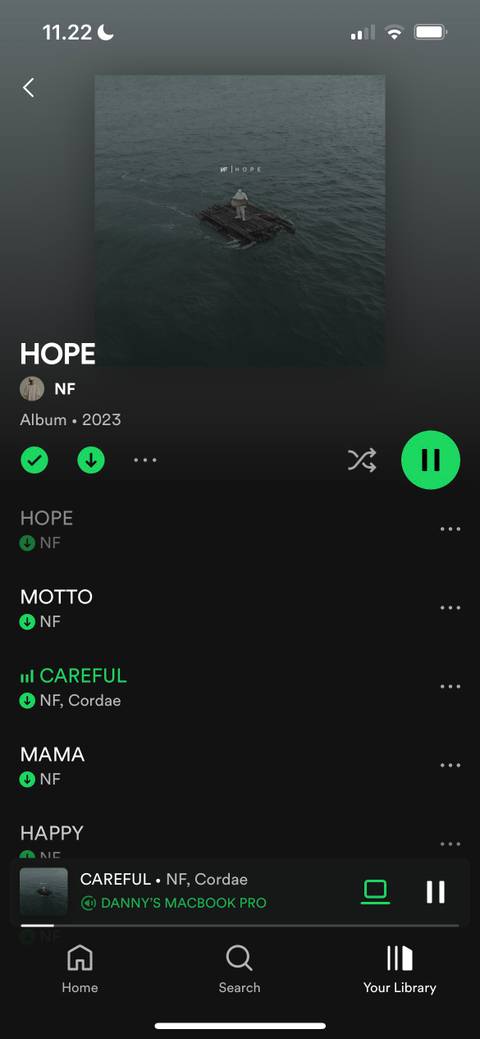Hidden Song on Spotify on iOS