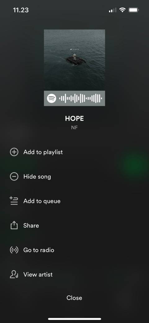 Hide a Spotify Song on iOS