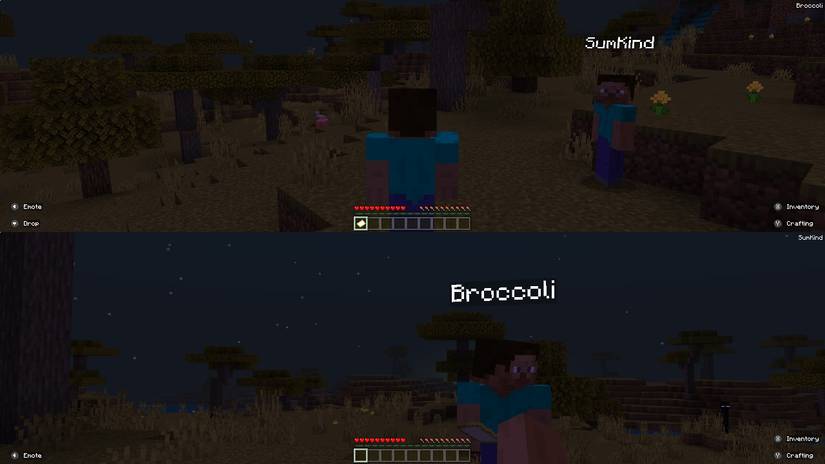 How to Play Two-Player Minecraft on the Nintendo Switch