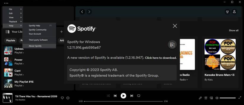 Screenreader Support Spotify Spotify Lyrics Not Working? 7 Ways to Fix It