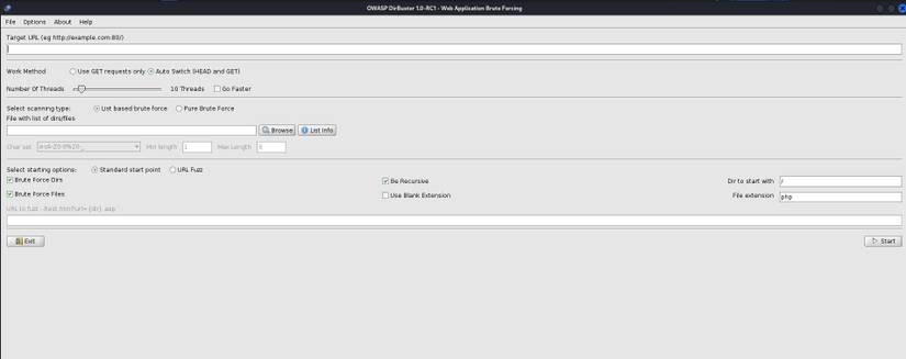 The 5 Best Linux Tools for Directory Bursting