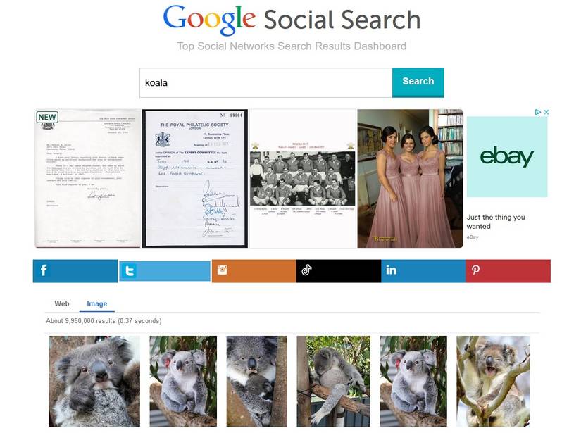 Koala Images on Google Social Search