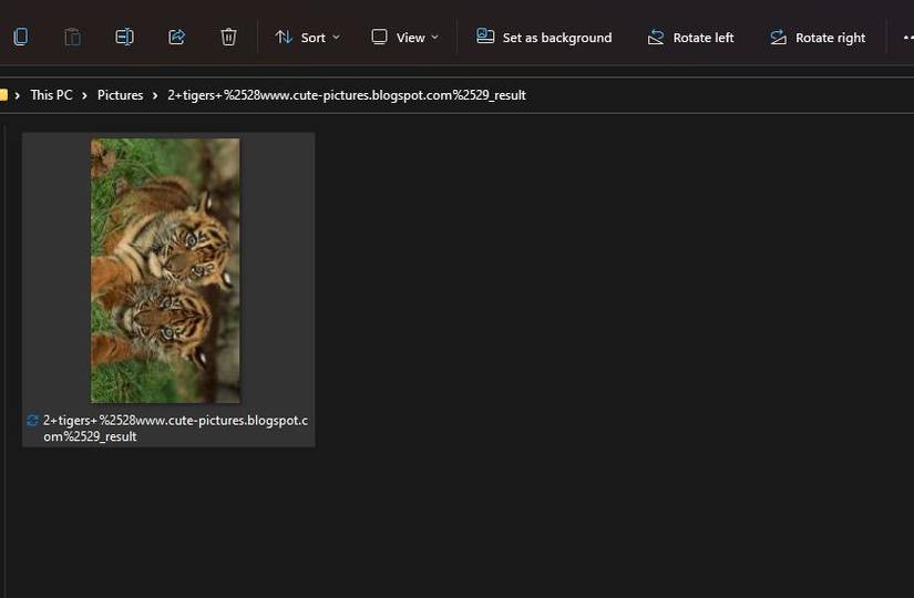 6 Ways to Rotate Images on a Windows 11 PC