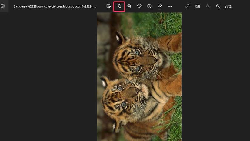 6 Ways to Rotate Images on a Windows 11 PC