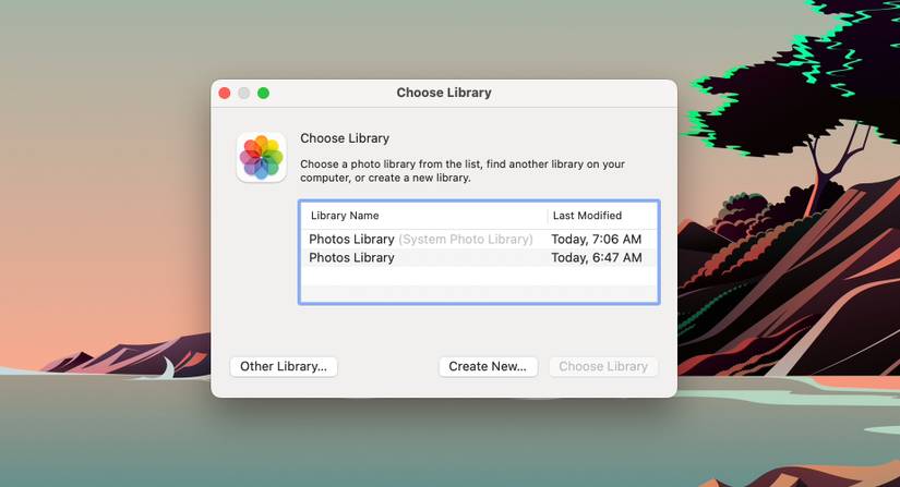Photo Library Examples How to Create and Manage Multiple Photo Libraries on Your Mac