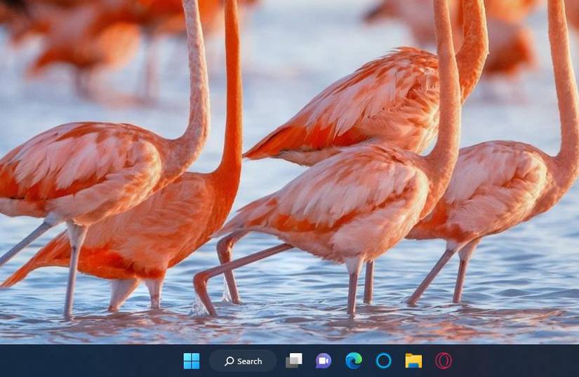 The Windows 11 taskbar