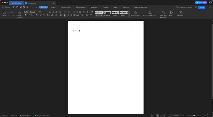 WPS office for macOS with a blank document open