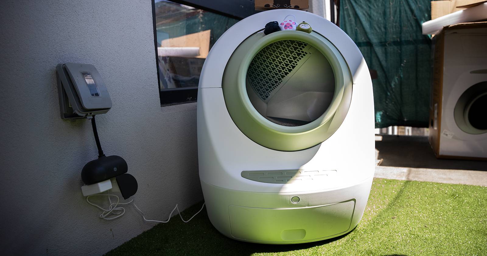 Casa Leo's Loo Too Review: My Cats Have a Fancier Toilet Than Me