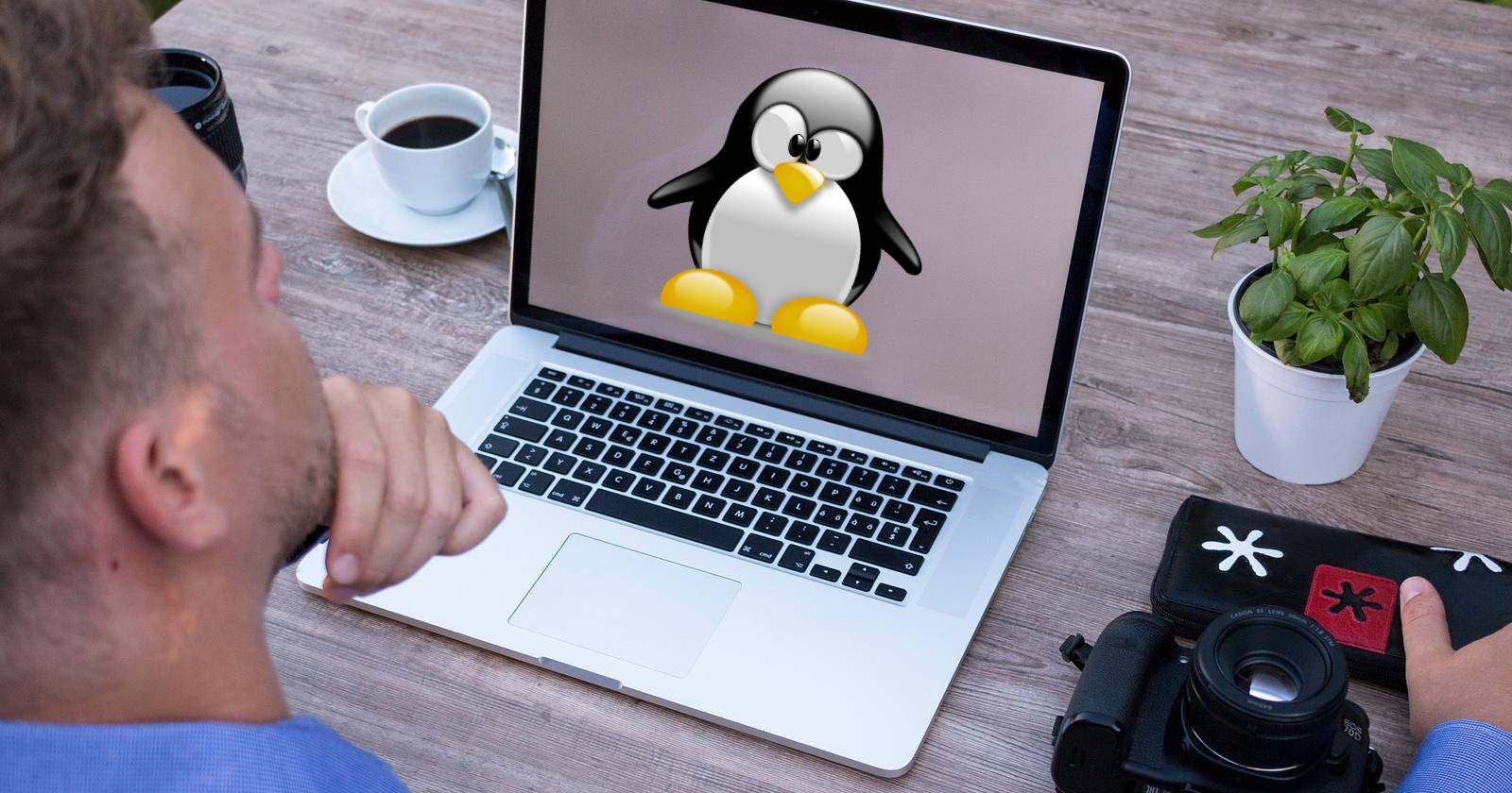 How to Create and Remove Directories in the Linux Terminal