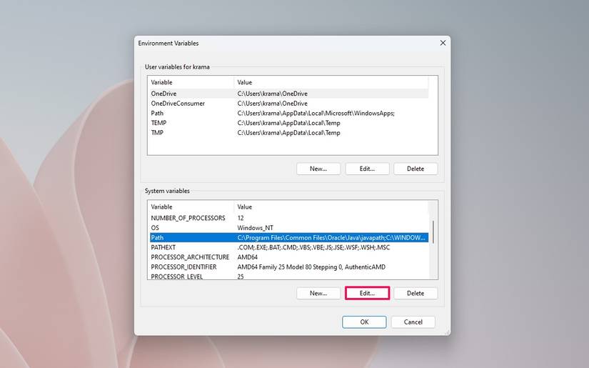 How to Set Up the JAVA_HOME Variable on Windows 11