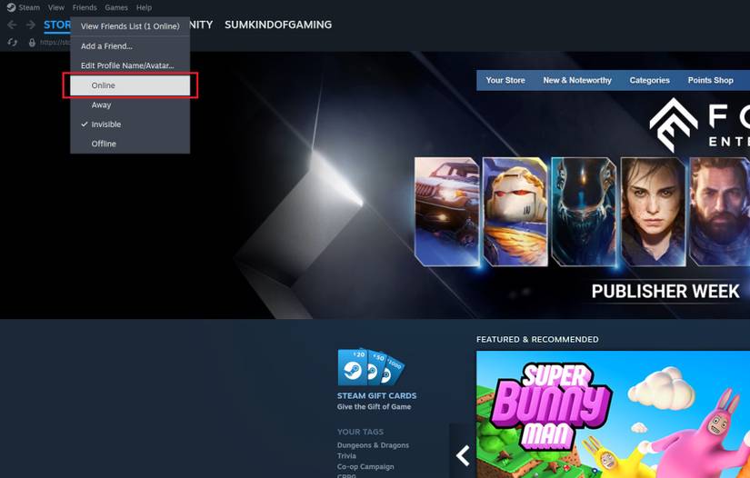 How to Appear Offline on Steam (Even When You’re Online)