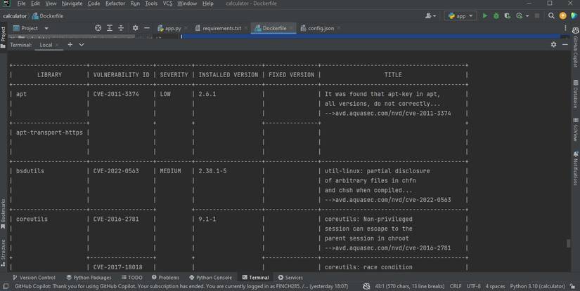 Trivy vulnerability report on the terminal