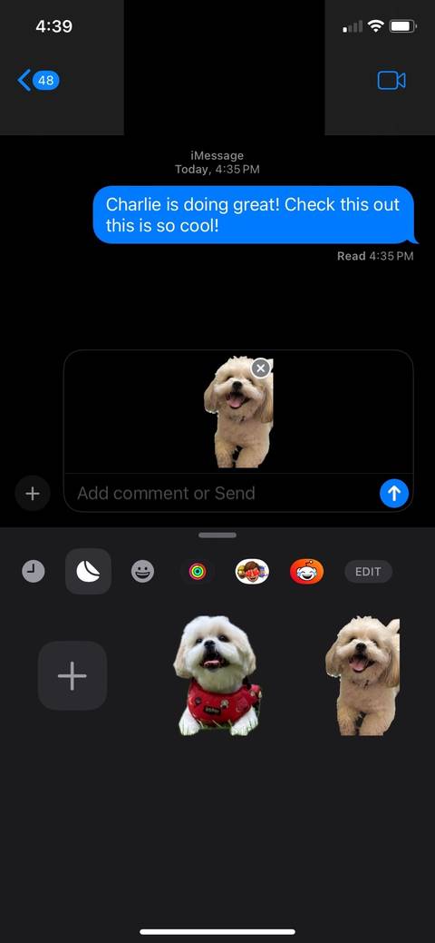 How to Create Custom Stickers From Your Photos on an iPhone