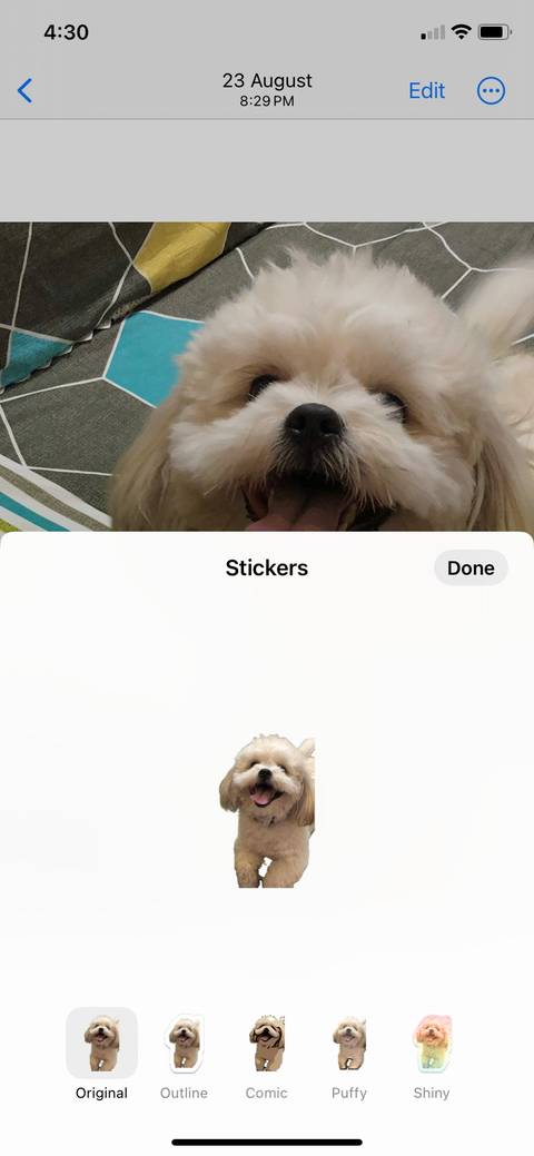 How to Create Custom Stickers From Your Photos on an iPhone