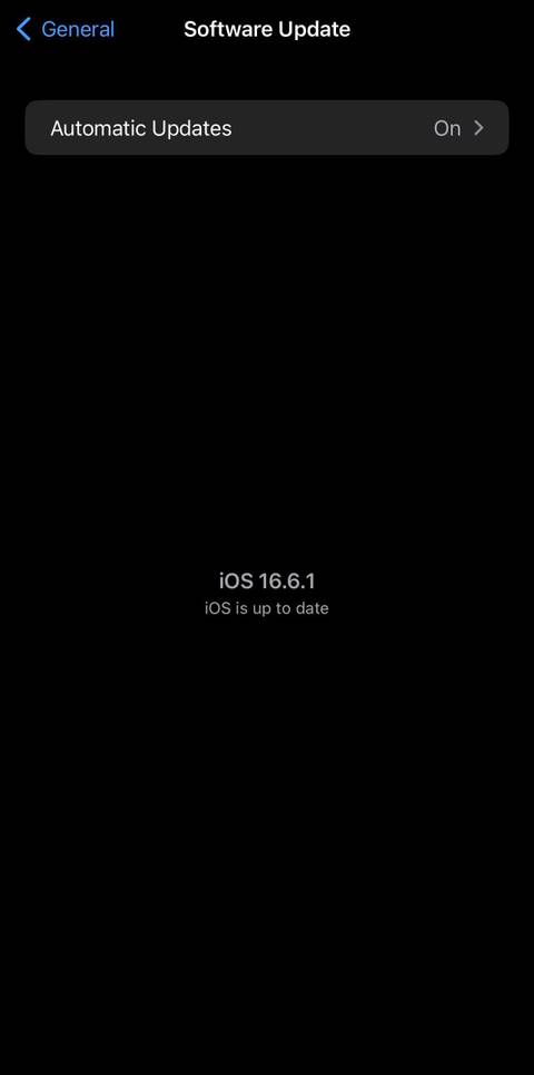 screenshot of iphone software update settings page