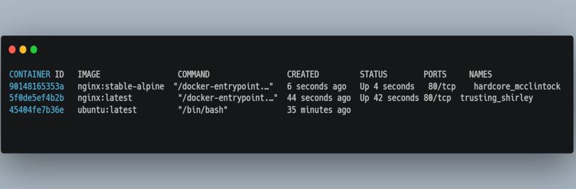 Container Command 8 Essential Docker Commands for Beginners