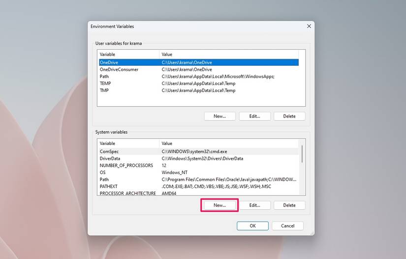 How to Set Up the JAVA_HOME Variable on Windows 11