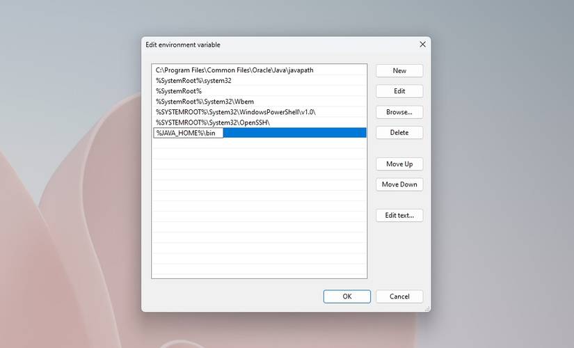 How to Set Up the JAVA_HOME Variable on Windows 11