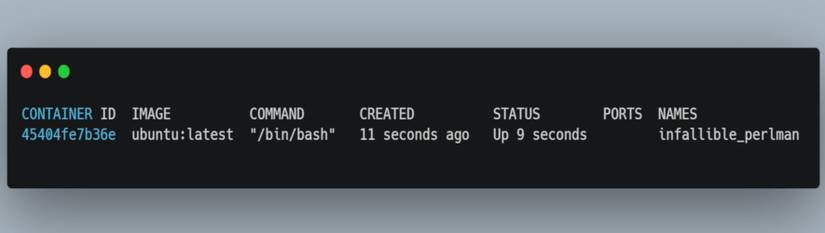 Container Command 8 Essential Docker Commands for Beginners