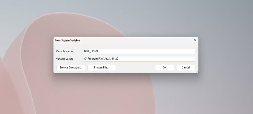 How to Set Up the JAVA_HOME Variable on Windows 11