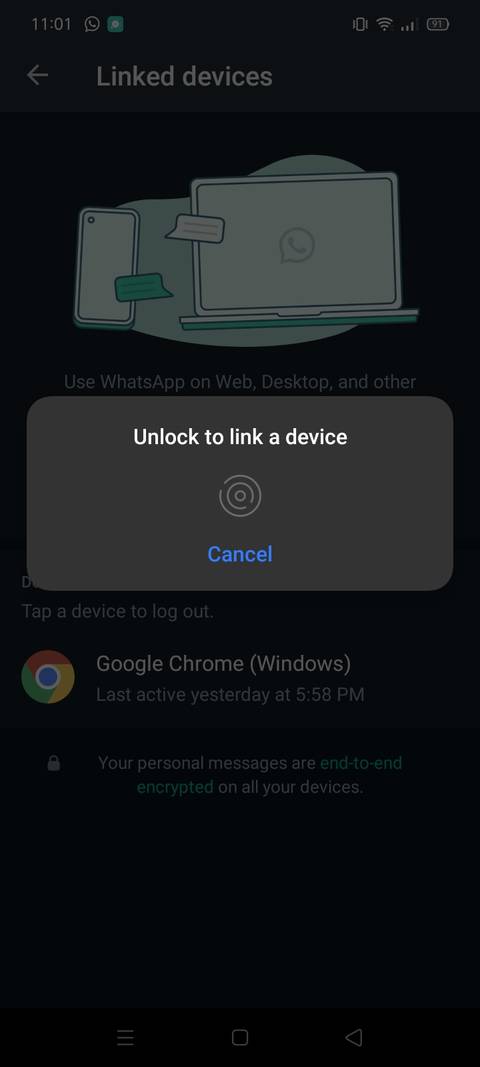 verify your identity with biometric verification