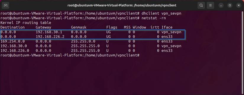How to Set Up a SoftEther VPN over HTTPS Client on Windows and Linux