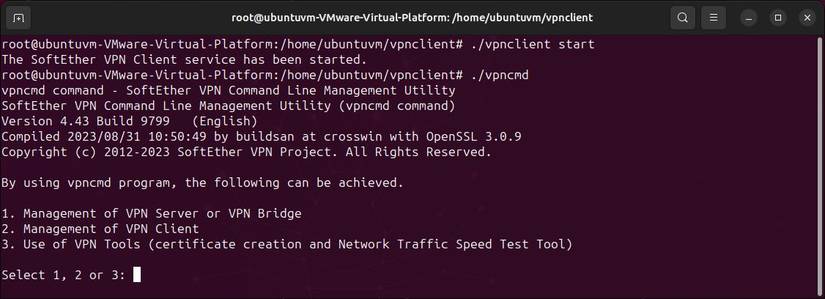 How to Set Up a SoftEther VPN over HTTPS Client on Windows and Linux