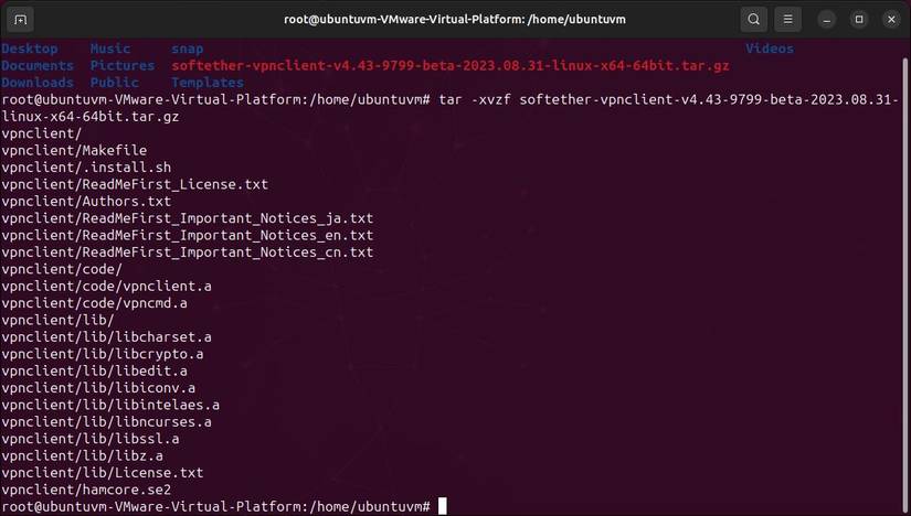 How to Set Up a SoftEther VPN over HTTPS Client on Windows and Linux