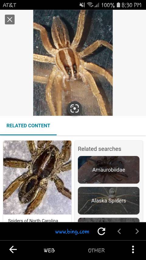 The 10 Best Reverse Image Search Apps for iPhone and Android