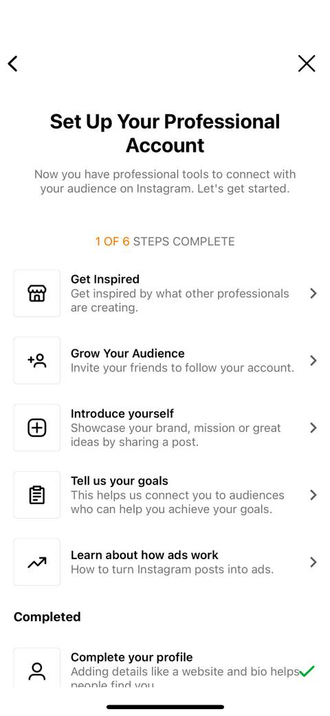 How to Switch to a Professional Account on Instagram