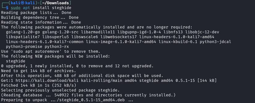 How to Hide Secrets With Steghide: A Guide to Steganography on Linux