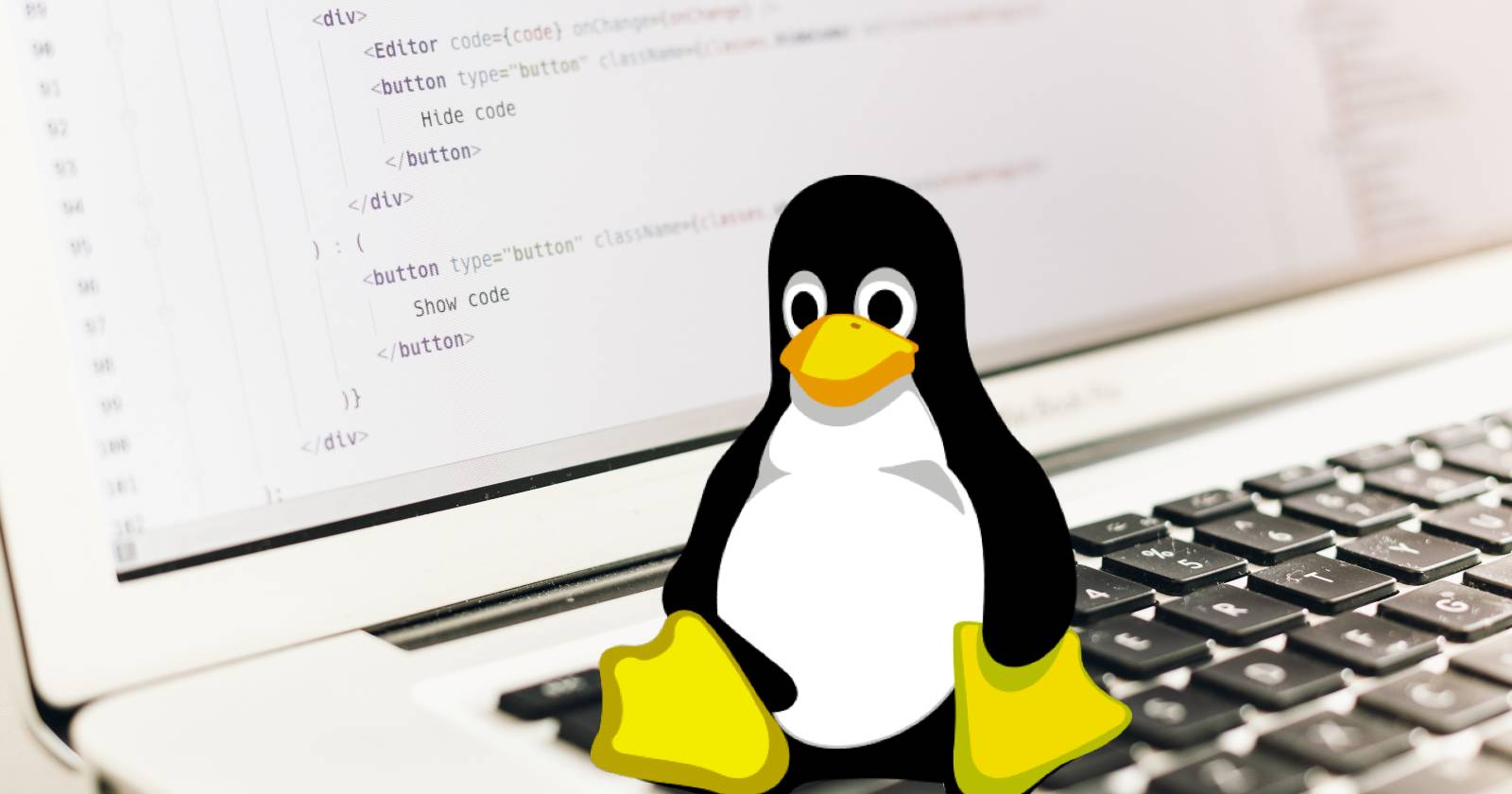 5 Bash Script Examples to Help You Learn Linux Programming