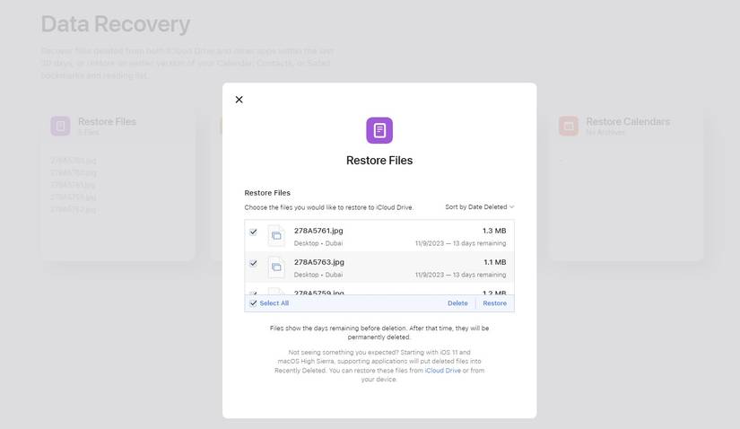 Restore Files from iCloud Drive