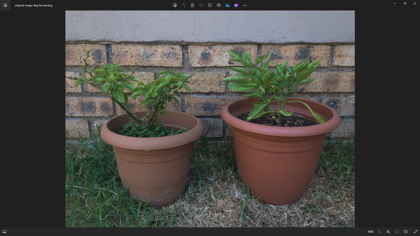 Screenshot of Original Example Image in DNG Format