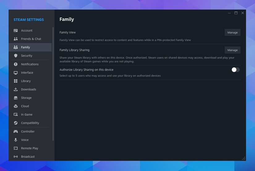 Steam What Is Family View