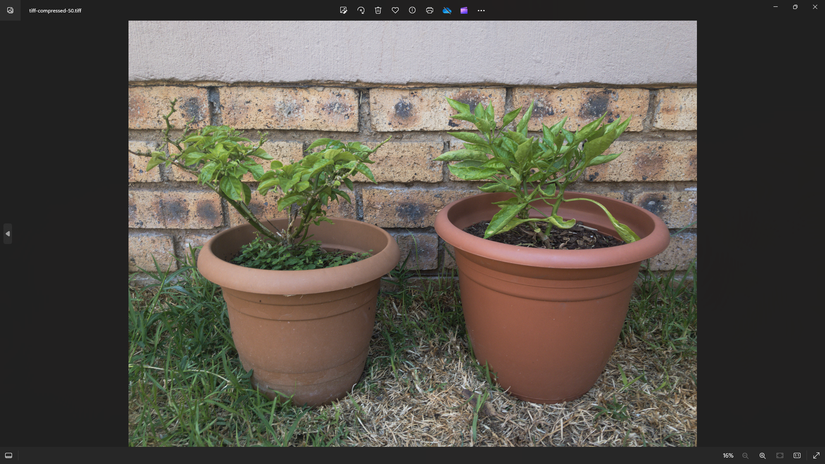 Lossless Compressed TIFF File