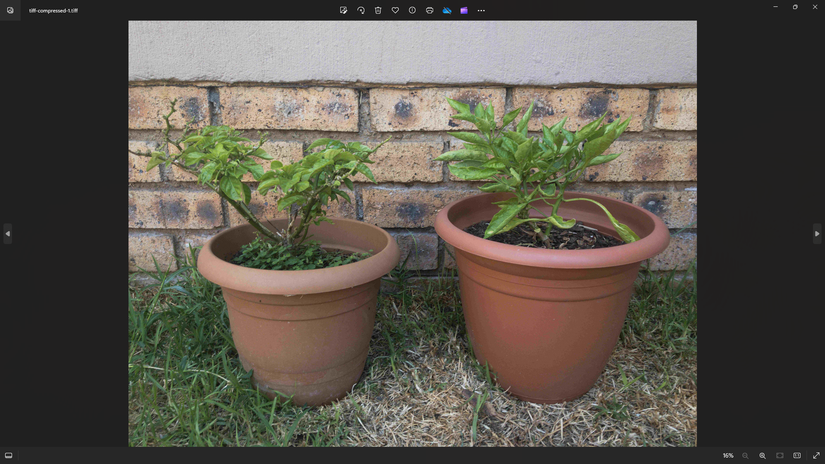 Lossy Compressed TIFF File