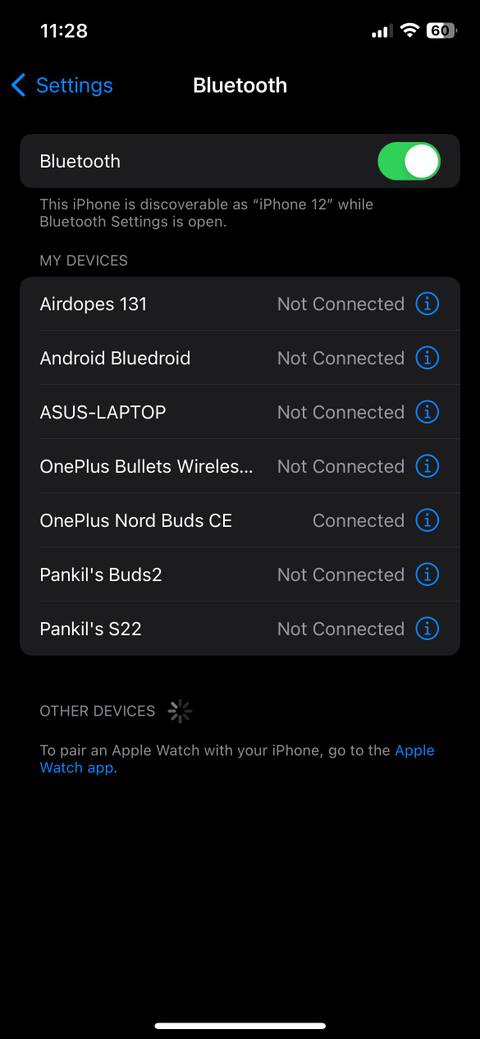 Bluetooth Menu on iPhone