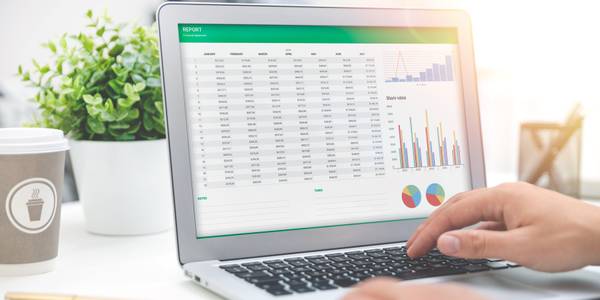 Budget planning, spreadsheet in Excel with report graph.