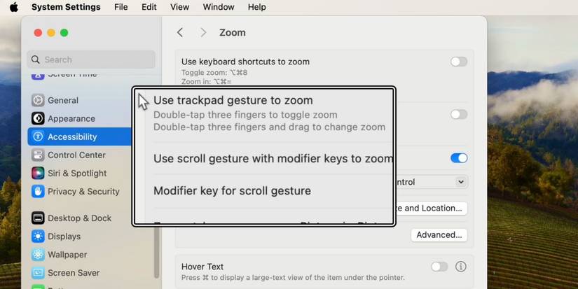 How to Zoom In and Out on a Mac: 4 Methods