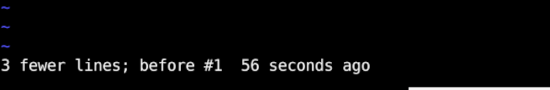 Vim undo notification