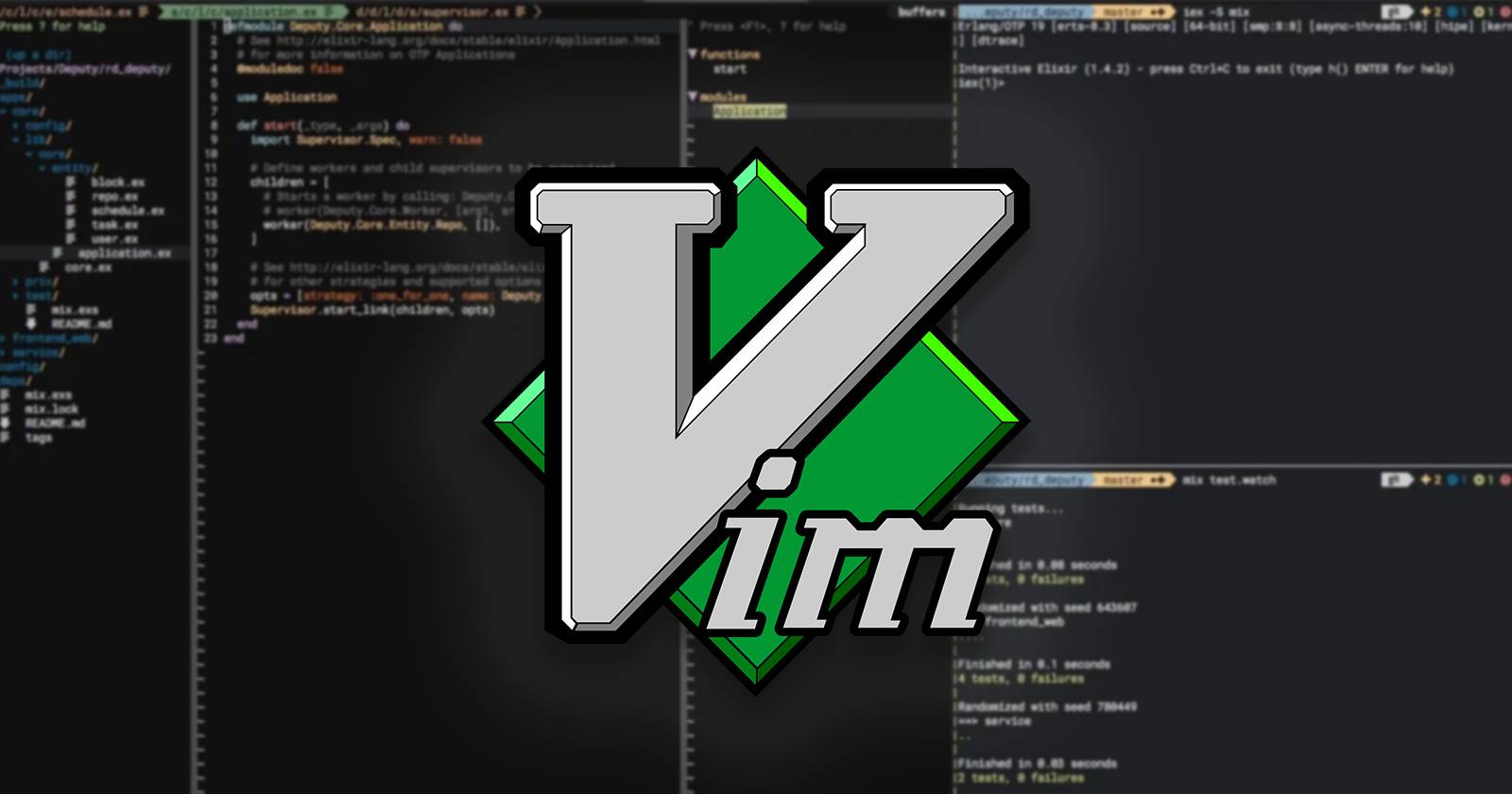 The VIM logo over a blurred image of the VIM editor in use.