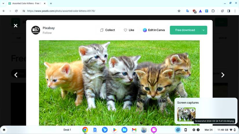 ChromeOS screen area captured