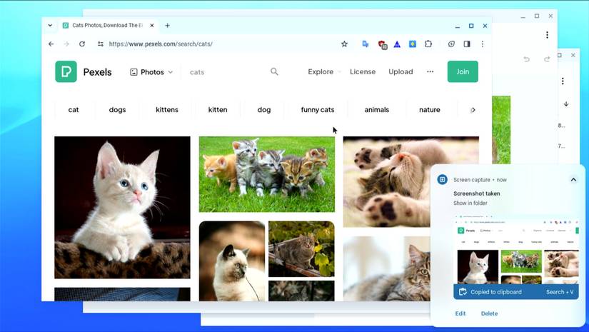 ChromeOS screen-captured window