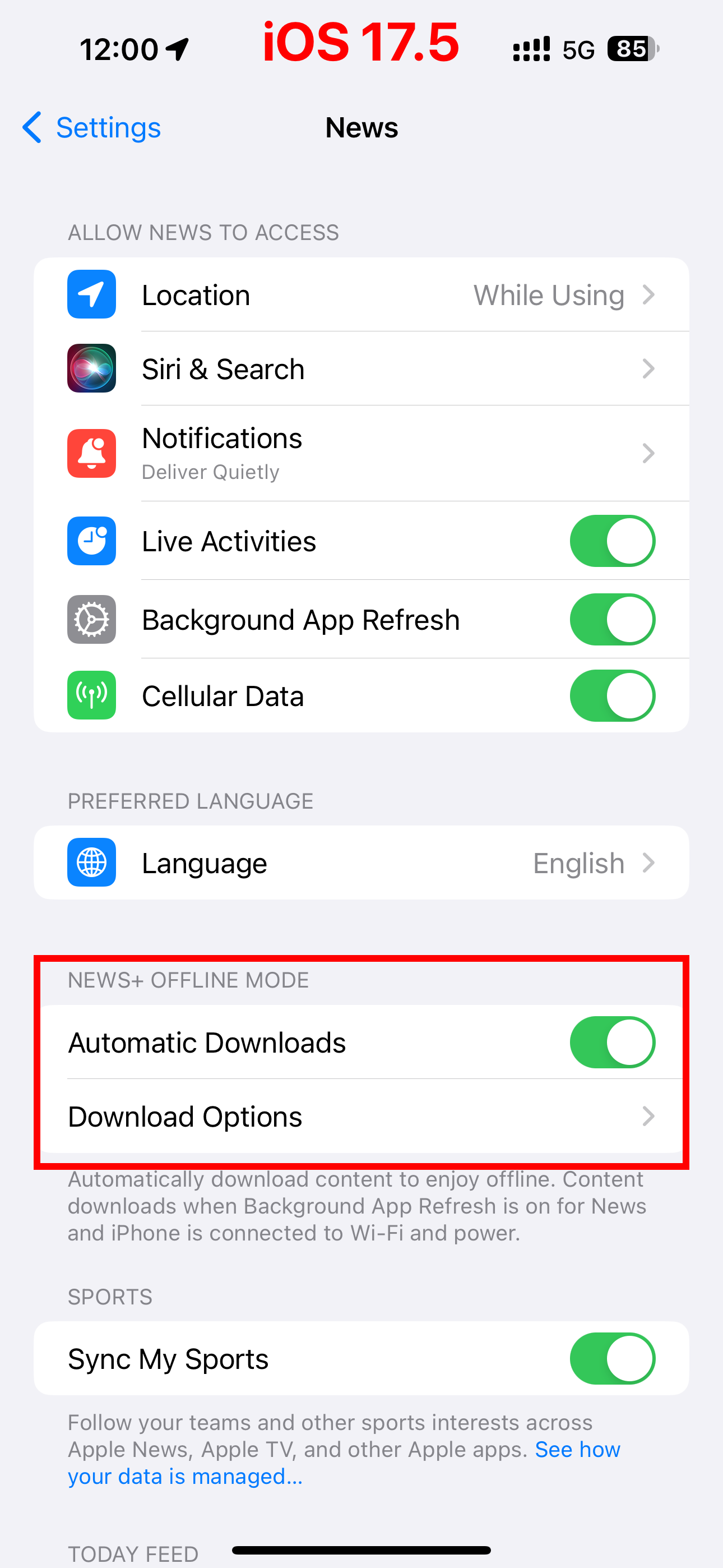Apple News app settings on iPhone in iOS 17.5, with the News+ Offline Mode section highlighted.