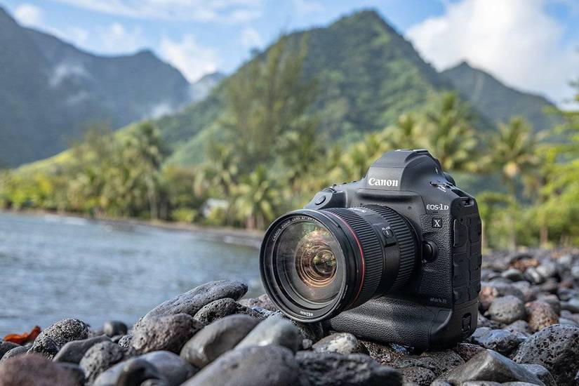The Best DSLR Cameras of 2024