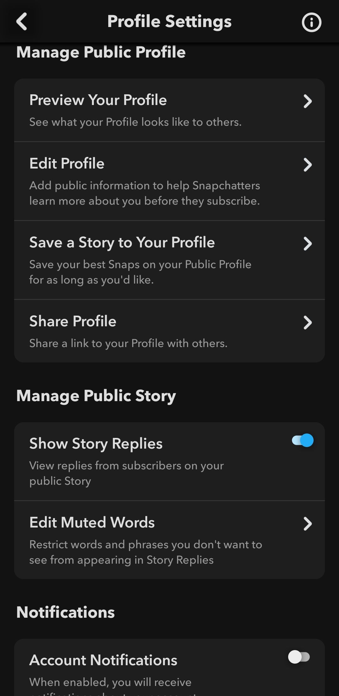 What Is a Snapchat Public Profile and How Do You Create One?