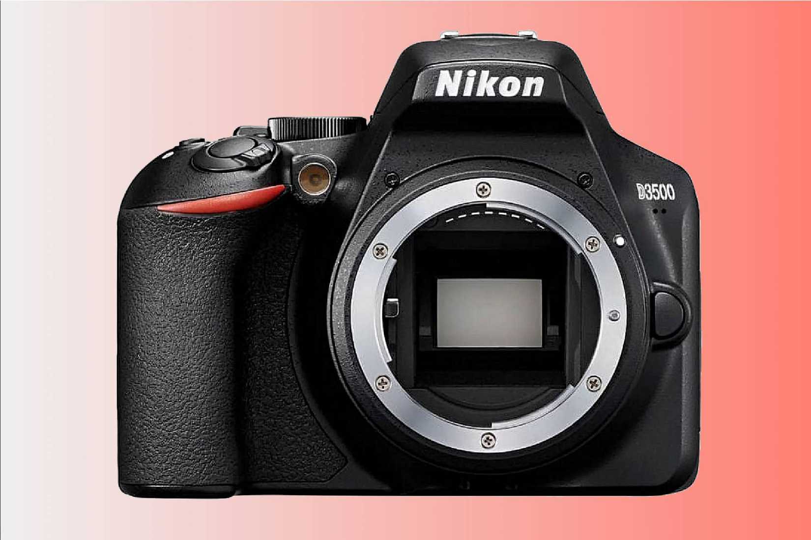 The Best Budget DSLR Cameras of 2024