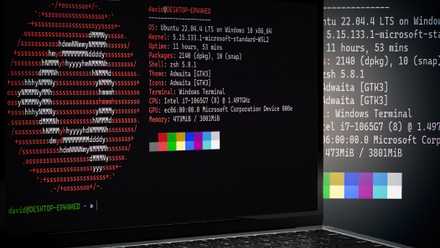 Nofetch I replaced my entire Windows workflow with Linux apps — and only hit ...